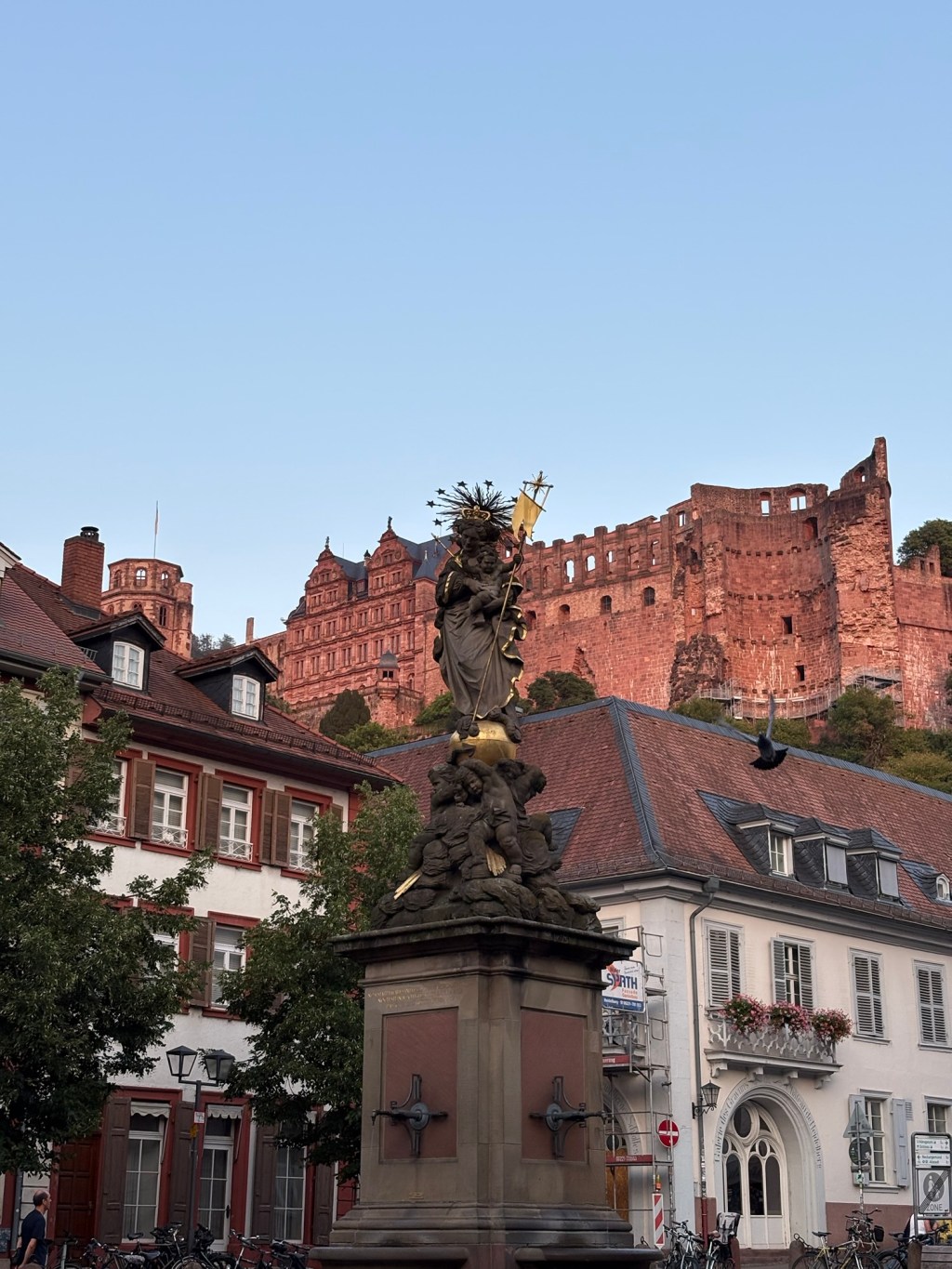 #7 : Wertheim 🚲 Heidelberg